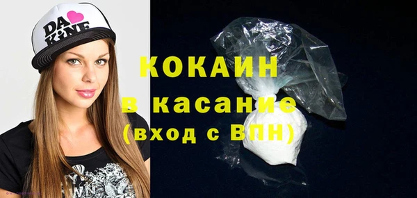 стаф Аркадак