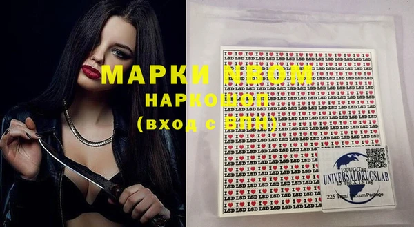 стаф Аркадак