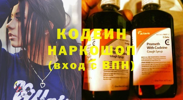 стаф Аркадак