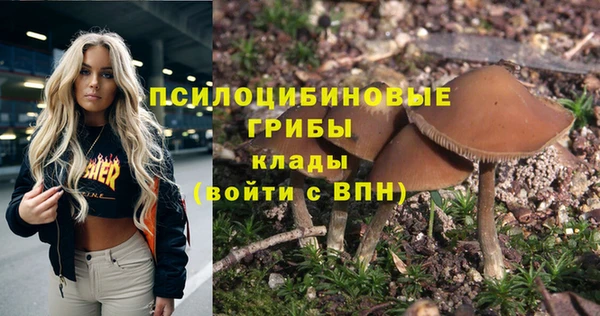 гидропоника Арсеньев