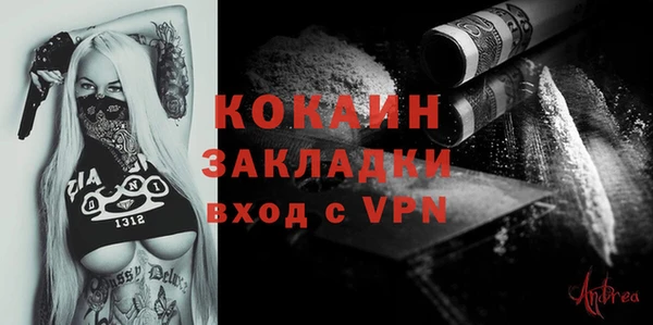 стаф Аркадак