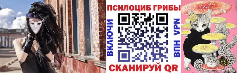 Галлюциногенные грибы Cubensis  дарк нет клад  Сердобск 